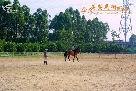 广州英姿马术俱乐部