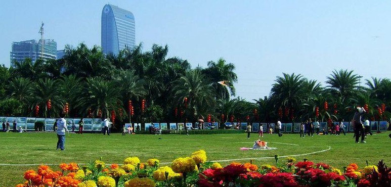 深圳风景图片:荔香公园某个角落的草坪.