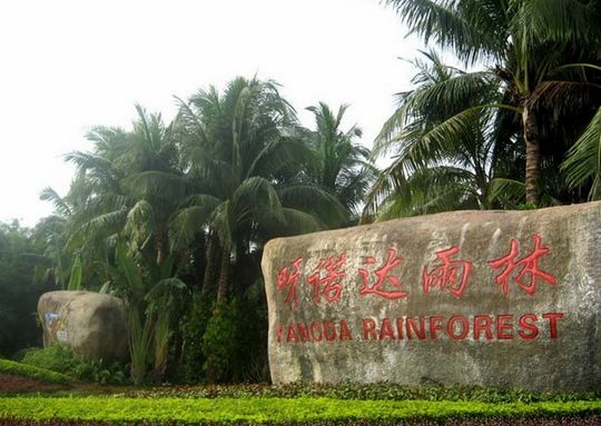 呀诺达热带雨林门票预订_地址_价格查询-【要