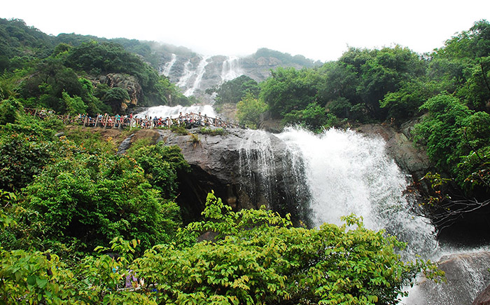 白水寨门票(白水寨门票预订)