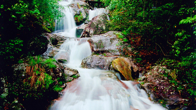 三爪仑观音岩景区门票